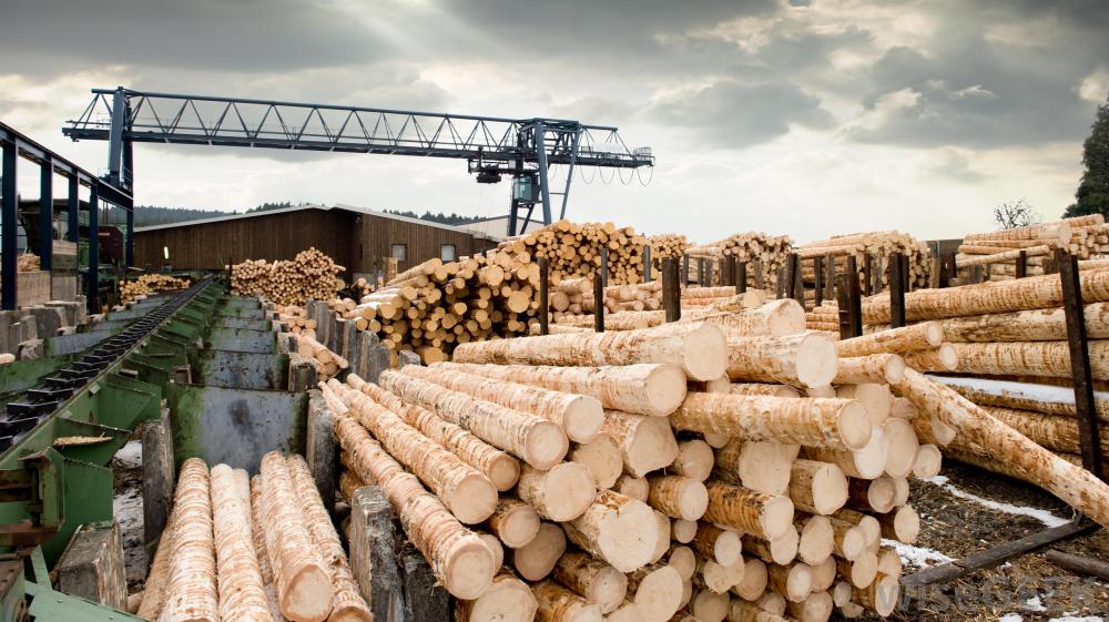 Metal detection solutions for wood and timber processing